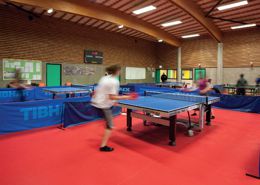 SPEED R35 Omnisports Tarkett от ООО "А Стиль" Новосибирск