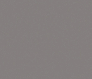 Dance 01 | Сценический линолеум темно серый | Apoluza SportFloor