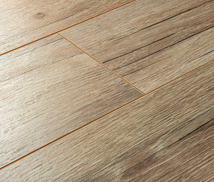 4525 Дуб Аутентик | Ламинат Camsan | Avangard