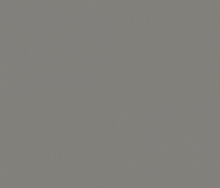 GREY Reference R65 Omnisports Tarkett - спортивный линолеум толщина 6.5 мм